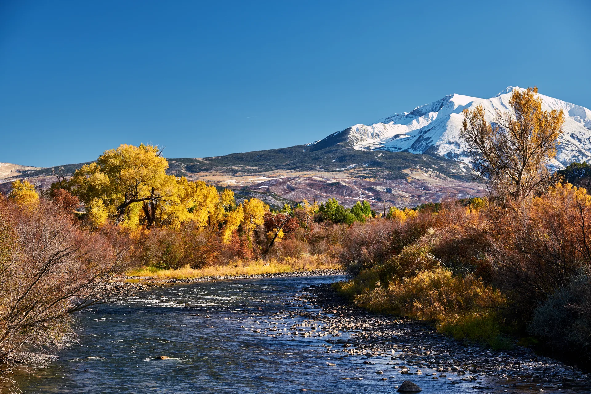 The Crystal River with fall cottonwoods below Mount Sopris